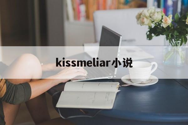 kissmeliar小说(kiss me liar 作者zig)